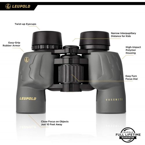  Leupold BX-1 Yosemite 10x30mm Porro Grey