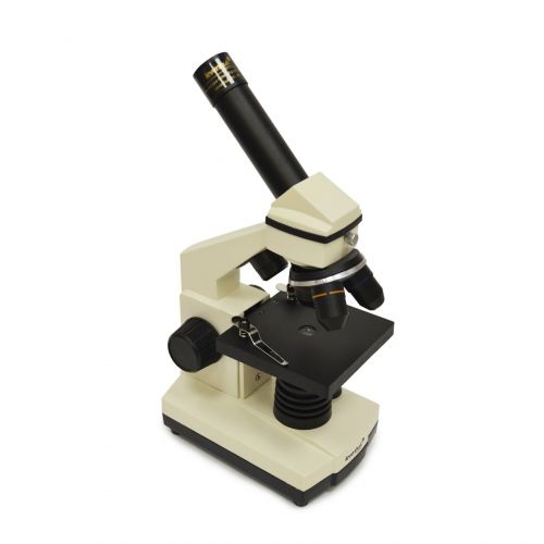  Levenhuk D2L NG Kids Digital Microscope by Levenhuk