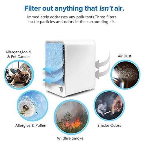  Levoit Luftreiniger Desktop mit HEPA & Aktivkohlefilter, Air Purifier gegen Staub Rauch Allergie, 3-Stufen-Filterung fuer 99,97% Filterleistung, geeignet fuer Allergiker Raucher Tier