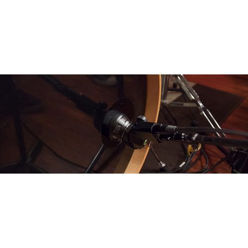  Lewitt DTP 340 REX Dynamic Bass Instrument Microphone