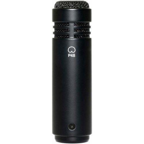  [아마존베스트]Lewitt LCT 040 Match Small Diaphragm Condenser Microphone for Instrument Recordings