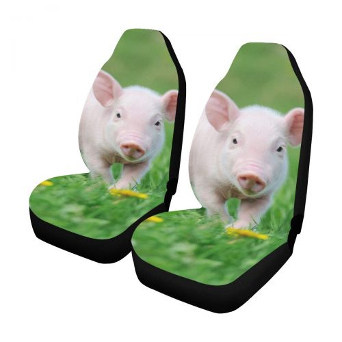  Lexav Farm Animal Cute Funny Young Pig Custom New Universal Fit Auto Drive Car Seat Covers Protector for Women Automobile Jeep Truck SUV Vehicle Full Set Accessories for Adult Baby (Set