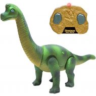 Liberty Imports Dino Planet Remote Control RC Walking Dinosaur Toy with Shaking Head, Light Up Eyes and Sounds (Triceratops)
