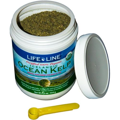  Lifeline Life Line Organic Ocean Kelp