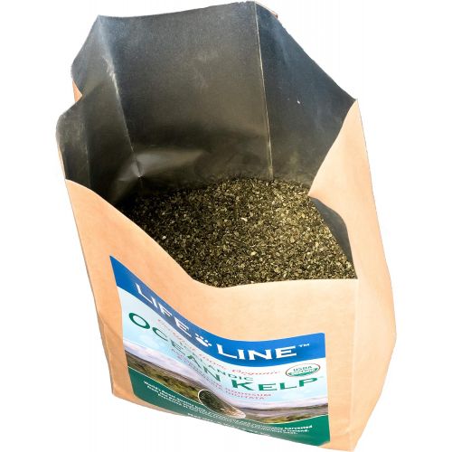  Lifeline Life Line Organic Ocean Kelp