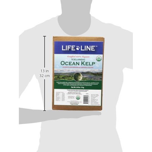  Life Line Pet Nutrition Organic Ocean Kelp Supplement for Skin & Coat, Digestion, Teeth & Gums in Dogs & Cats, 8-Ounce