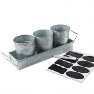 LifeSmart USA Galvanized Steel Picnic Planter and Caddy Set - One Caddy and Three Pails - 17 x 4 inches - Multipurpose Use - Ideal for Entertaining or Garden Use - Bonus Chalkboard