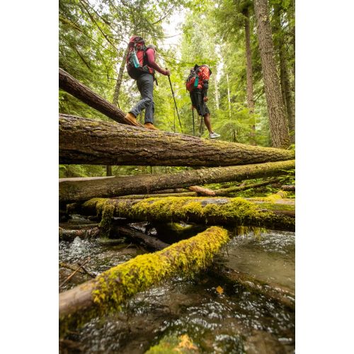  LifeStraw Go Water Bottle w/Filter Tritan Renew