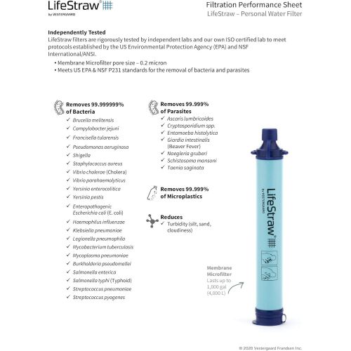  [아마존핫딜][아마존 핫딜] LifeStraw Personal Water Filter