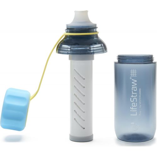  [아마존베스트]LifeStraw Play Kids Water Filter Bottle with 2-Stage Integrated Filter Straw for Safe and Clean Drinking Water