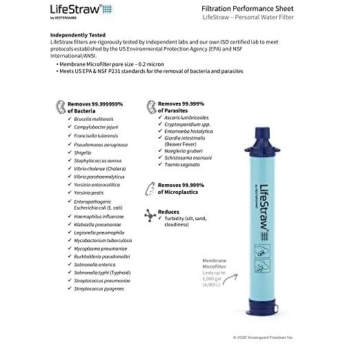 LifeStraw Personal Water Filter