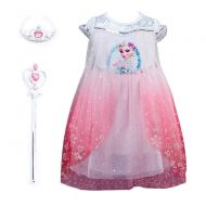 Lifereal Princess Frozen Party Costume Dress for Kids with Tiara Necklaces and Wand