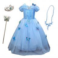 Lifereal Princess Frozen Party Costume Dress for Kids with Tiara Necklaces and Wand