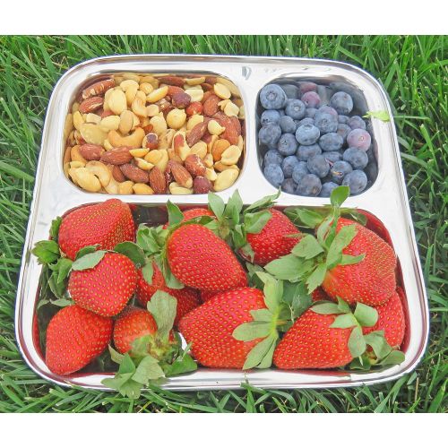  Lifestyle Block Stainless Steel Plastic-Free 3 Compartment Stainless Steel Kid’s Plate  Small Divided Kid Plate