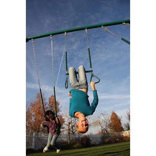 라이프타임 Lifetime Heavy Duty A-Frame Metal Swing Set