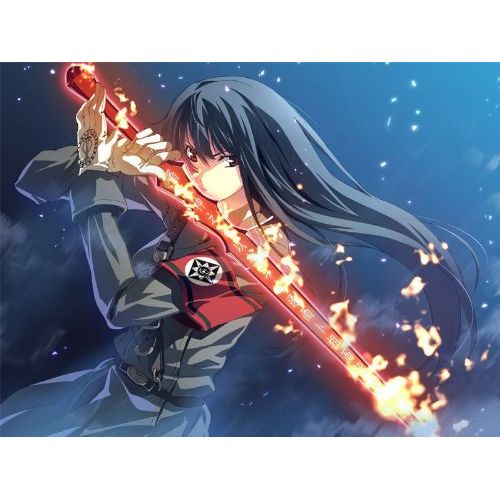  Light Dies irae ~Amantes amentes~ [First Print Limited Edition] [Japan Import]