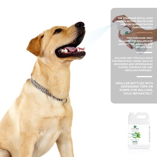  Lillian Ruff Dog Breath Freshener Spray - Spearmint Flavor- Safe for Cats - Fight Bad Breath, Dental Plaque and Tartar - Boost Immune System