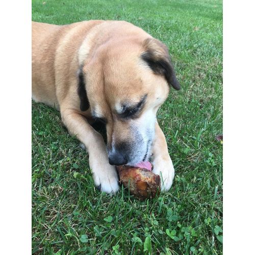  Lillys Choice Dog Bones for Large Aggressive Chewers - Made in The USA Only - Long Lasting Natural America Grass Fed Beef Chew Treats with Bone Marrow - Best for Medium to XL Dogs
