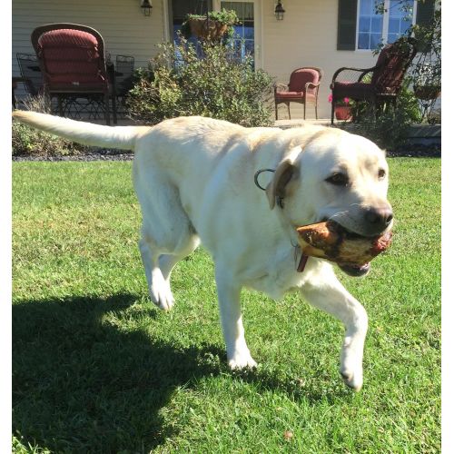  Lillys Choice Dog Bones for Large Aggressive Chewers - Made in The USA Only - Long Lasting Natural America Grass Fed Beef Chew Treats with Bone Marrow - Best for Medium to XL Dogs