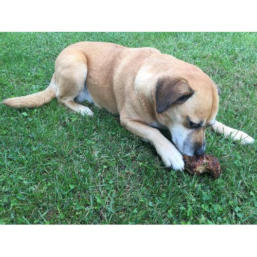  Lillys Choice Dog Bones for Large Aggressive Chewers - Made in The USA Only - Long Lasting Natural America Grass Fed Beef Chew Treats with Bone Marrow - Best for Medium to XL Dogs