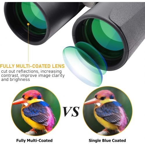  [아마존베스트]Lindafo 12x42 Binoculars for Adults - HD Low Light Night Vision - Compact Lightweight (1.05lb) - Powerful BAK4 Prism FMC Lens - Waterproof Binoculars for Bird Watching, Hunting, Sports -Ph