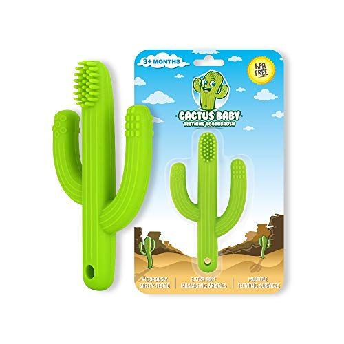  [아마존베스트]Nibblit Cactus Baby Teething Toy Toothbrush | Self-Soothing Pain Relief Teether Training Toothbrush for Babies, Toddlers, Infants, Boy and Girl | BPA Free | 0-12 Months | Green