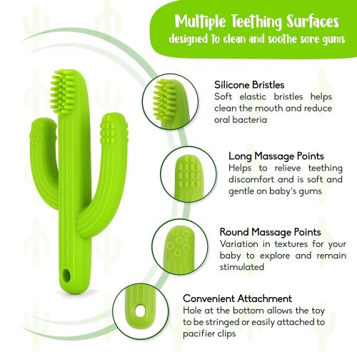  [아마존베스트]Nibblit Cactus Baby Teething Toy Toothbrush | Self-Soothing Pain Relief Teether Training Toothbrush for Babies, Toddlers, Infants, Boy and Girl | BPA Free | 0-12 Months | Green