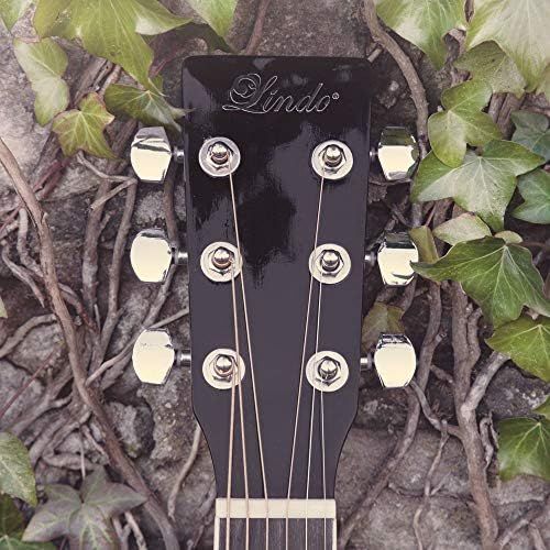  [아마존베스트]Lindo Gitarren Lindo Blue Fractal Apprentice Series 42C Acoustic Guitar & Gig Bag