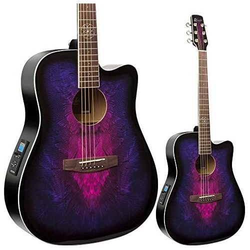  [아마존베스트]Lindo Gitarren Lindo Swallow Electro-Acoustic Guitar with F-4T Pre-Amp, Digital Tuner with XLR and Jack Output, Transport Bag)