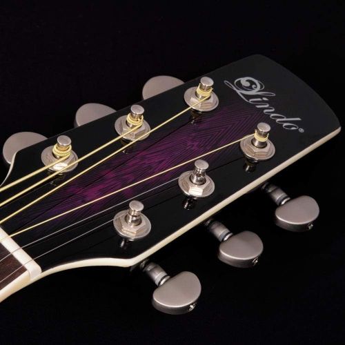  [아마존베스트]Lindo Gitarren Lindo Swallow Electro-Acoustic Guitar with F-4T Pre-Amp, Digital Tuner with XLR and Jack Output, Transport Bag)