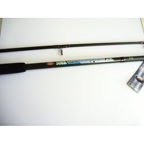  [아마존베스트]Lineaeffe Fishing Rod Telescopic Carbon Catfish 3,00m mit 200g WG