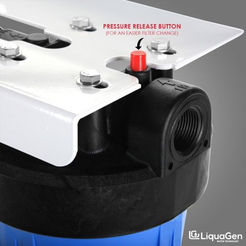  LiquaGen 10 Big Blue Filter System