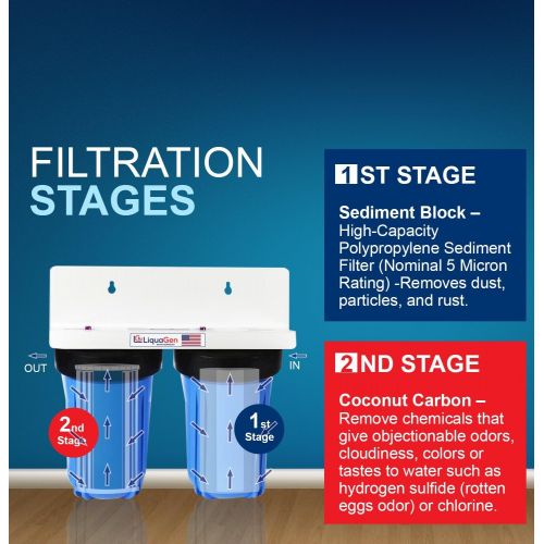  LiquaGen 10 Big Blue Filter System