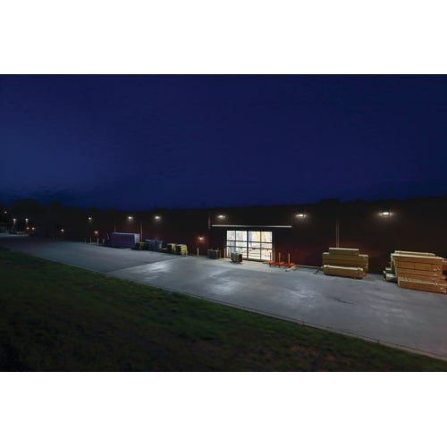  Lithonia Lighting TWR1 LED P2 50K MVOLT DDBTXD M2 Light, Dark Bronze