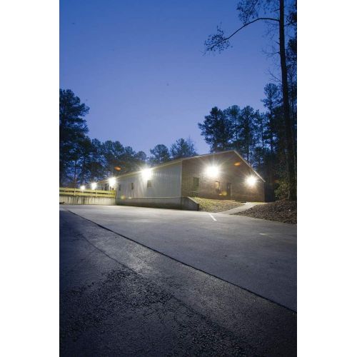  Lithonia Lighting TWR1 LED P2 50K MVOLT DDBTXD M2 Light, Dark Bronze