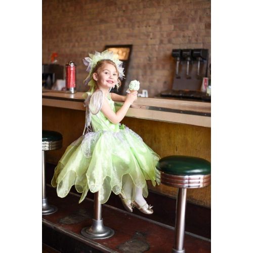  Little Adventures Tinkerbell Fairy Dress Up Costume