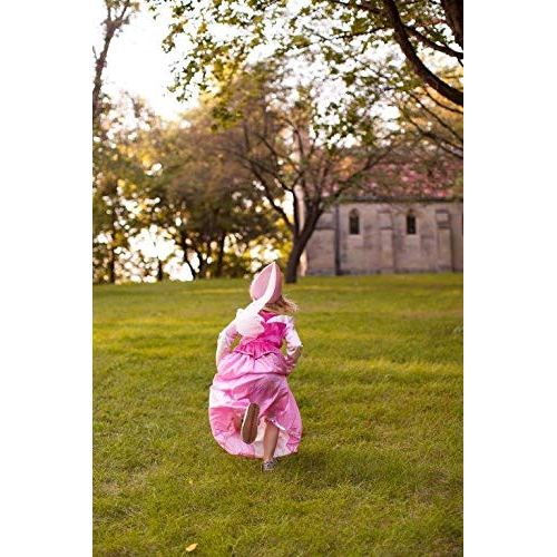  Little Adventures Sleeping Beauty Princess Dress Up Costume