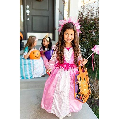  Little Adventures Sleeping Beauty Princess Dress Up Costume