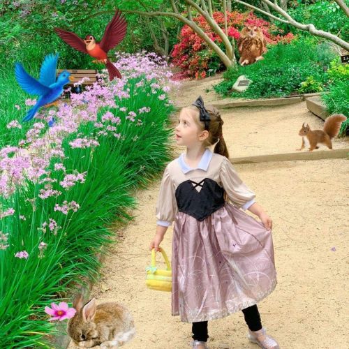  Little Adventures Sleeping Beauty Day Dress with Headband Princess Costume (Large Age 5-7)
