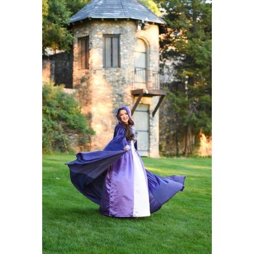  할로윈 용품Little Adventures Enchanted Rapunzel Dress-Up Costume for Adult Women