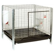 Little Giant Farm & Ag Complete Rabbit Hutch Kit