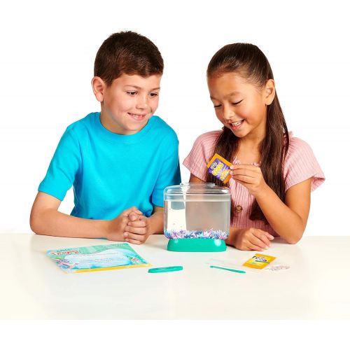  [아마존베스트]Little Live Pets Little Live Aqua Dragons - Deep Sea Habitat - LED Light Up Tank Hatch and Grow Aquatic Pets