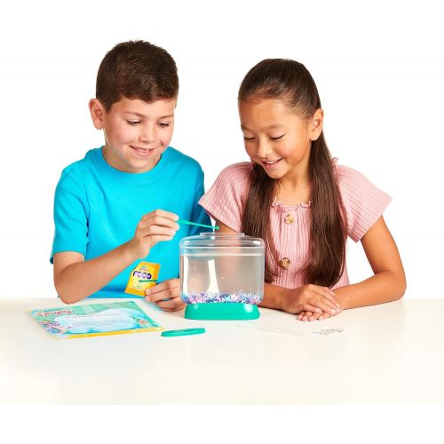  [아마존베스트]Little Live Pets Little Live Aqua Dragons - Deep Sea Habitat - LED Light Up Tank Hatch and Grow Aquatic Pets