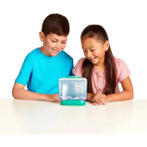  [아마존베스트]Little Live Pets Little Live Aqua Dragons - Deep Sea Habitat - LED Light Up Tank Hatch and Grow Aquatic Pets