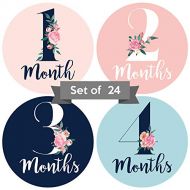 [아마존베스트]Crystal Creations Baby Monthly Stickers | Floral Baby Milestone Stickers | (Set of 24) | Newborn Girl Stickers | Month Stickers for Baby Girl | Baby Girl Stickers | Newborn Monthly Milestone Sticker