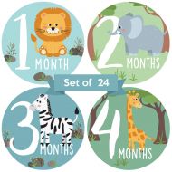 Little Moments Baby Monthly Stickers | Zoo Animals Baby Milestone Stickers | Jungle Newborn Boy or Girl Stickers | Month Stickers for Baby Boy | Gender Neutral | Unisex Safari Newborn Monthly Mil