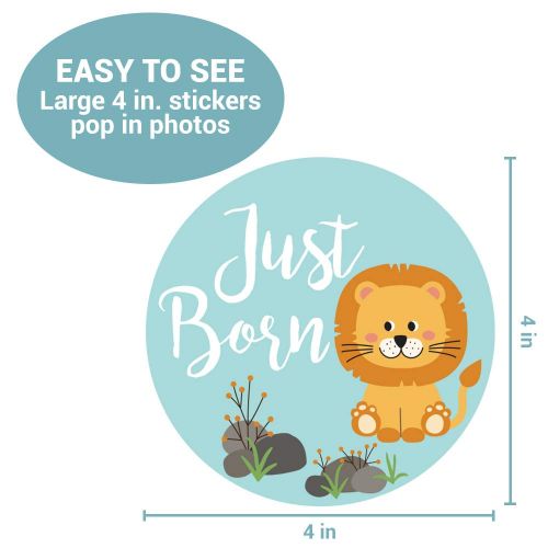  Little Moments Baby Monthly Stickers | Zoo Animals Baby Milestone Stickers | Jungle Newborn Boy or Girl Stickers | Month Stickers for Baby Boy | Gender Neutral | Unisex Safari Newborn Monthly Mil