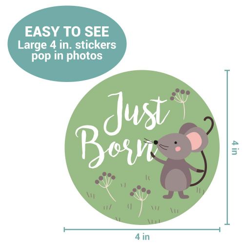  Little Moments Baby Monthly Stickers | Woodland Creatures Baby Milestone Stickers | Newborn Boy or Girl Animal Stickers | Month Stickers for Baby Boy | Gender Neutral | Unisex Monthly Milestone S