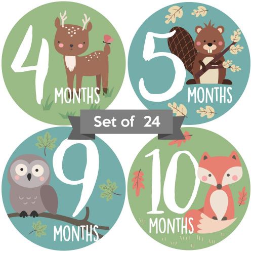  Little Moments Baby Monthly Stickers | Woodland Creatures Baby Milestone Stickers | Newborn Boy or Girl Animal Stickers | Month Stickers for Baby Boy | Gender Neutral | Unisex Monthly Milestone S