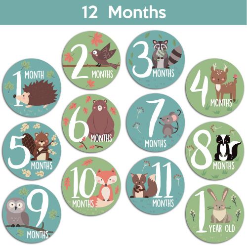  Little Moments Baby Monthly Stickers | Woodland Creatures Baby Milestone Stickers | Newborn Boy or Girl Animal Stickers | Month Stickers for Baby Boy | Gender Neutral | Unisex Monthly Milestone S